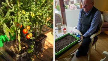 Dunfermline care Residents see the fruits of their labour as greenhouse vegetables sprout